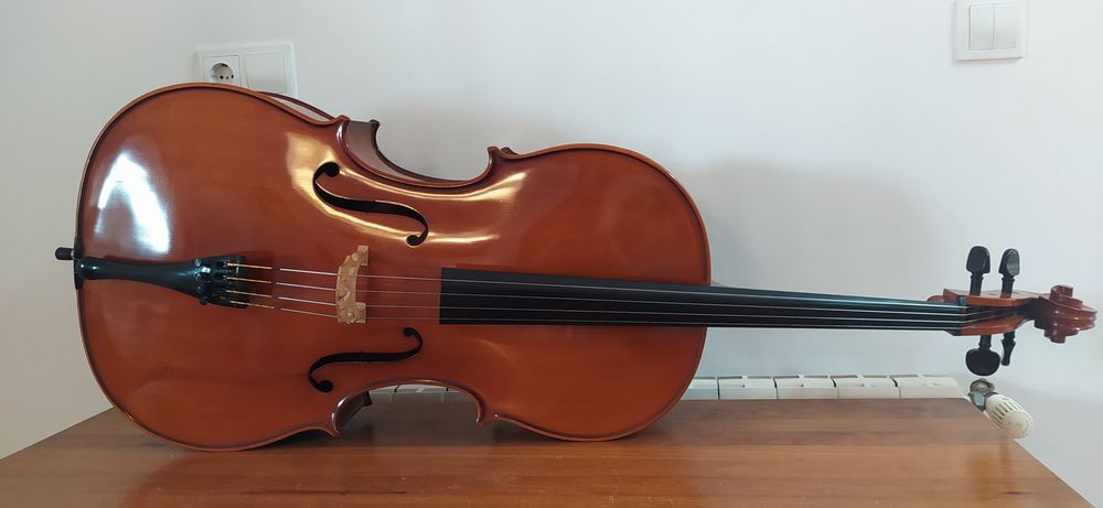 Violoncelo 4/4 com arco