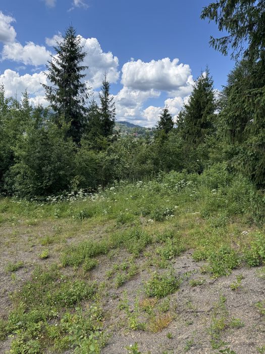 Продаж ділянки у Славське (14 сот.), БЕЗ КОМІСІЇ, вул. Стуса.