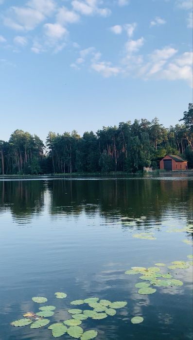 Оренда невеликої ДАЧІ Таценки - Українка. Є хороше пічне опалення.