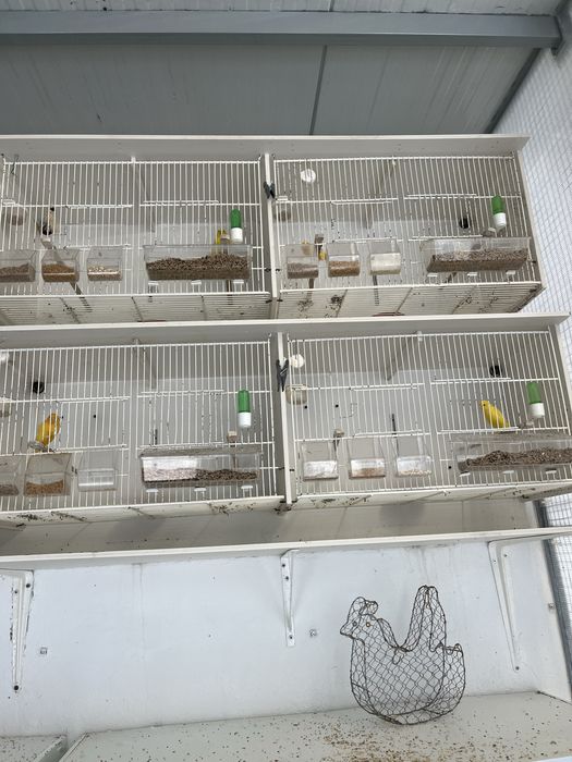 Viveiros gaiolas em PVC 15 Buracos