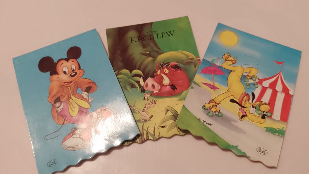 Karteczki notesikowe pełne notesy Disney