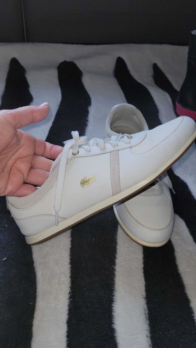 Oryginalny Lacoste rozmiar 36-37.