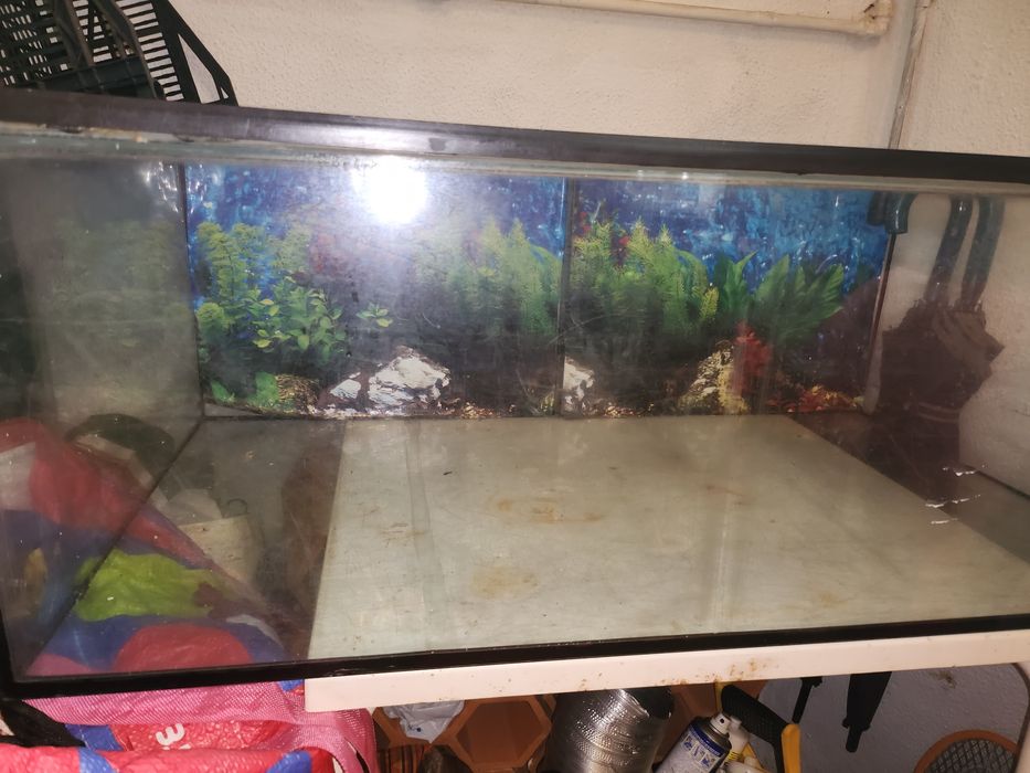 Vendo aquário  para peixes ou tartaruga