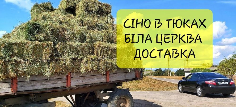 СІНО (Сено) СВІЖЕ 2025р.Лугове в тюках. Біла Церква!
