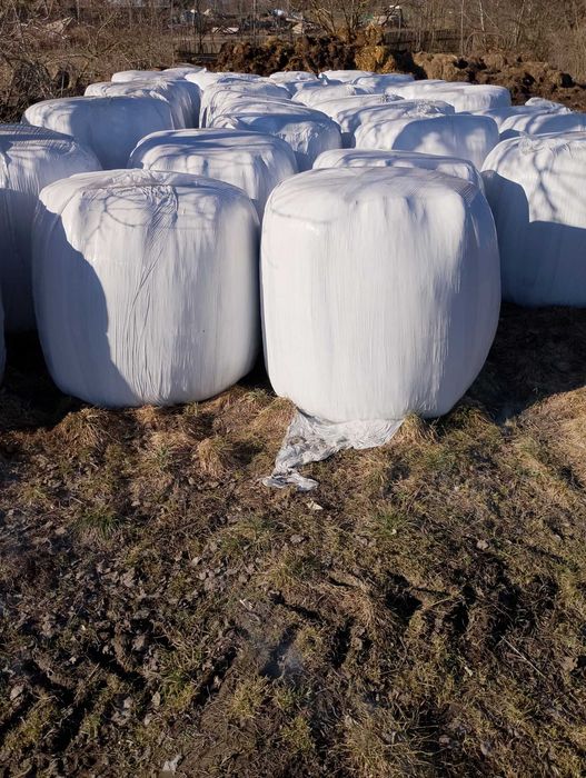 Baloty z traw polnych