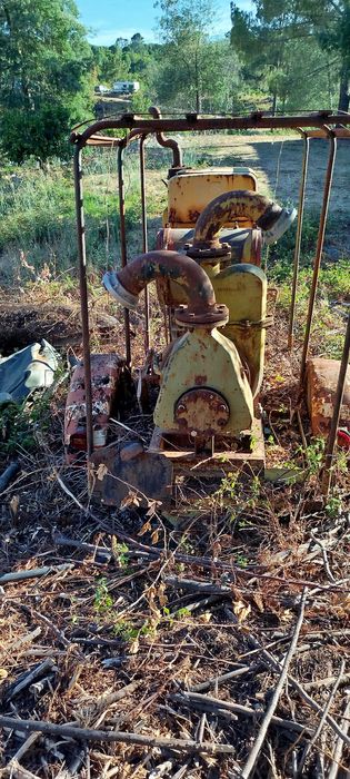 Reboque de Traktor com grande Bomba de água a Diesel 27cv