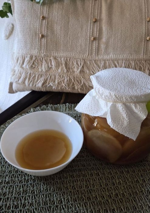 Grzybek herbaciany kombucha