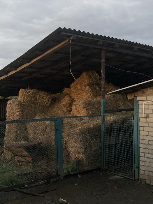 Продам тюки соломи