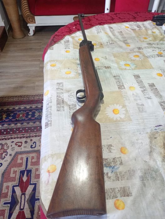 Para caça em otimo estado