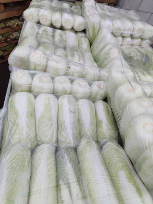 Пекінську капусту потребую на постійній основі