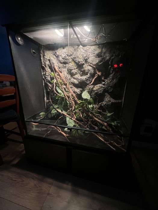 Terrarium dla Kameleona Repti Planet