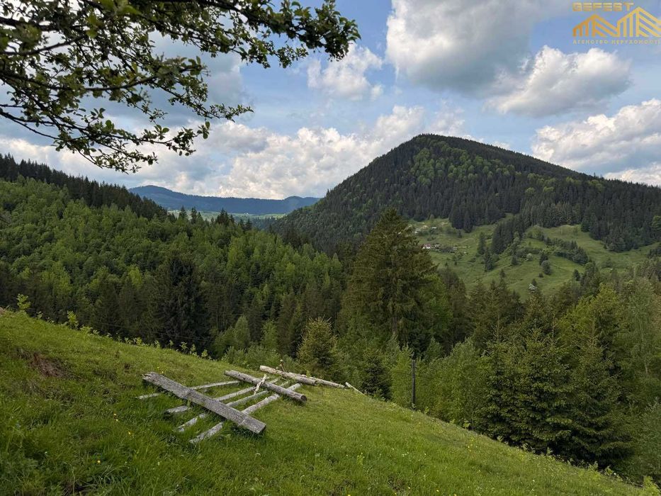 Верховина. 25,5сотих. Нерухомість. Земля. Карпати. Верховинський район