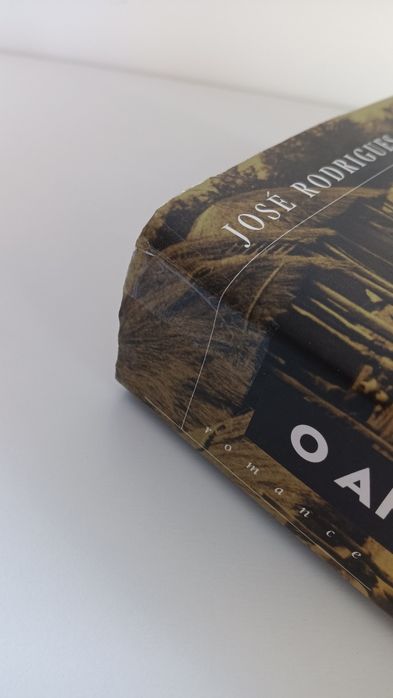 Livro O Anjo Branco