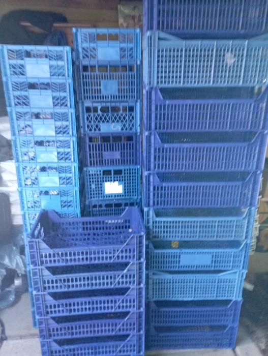 Продам пласмасові ящики.