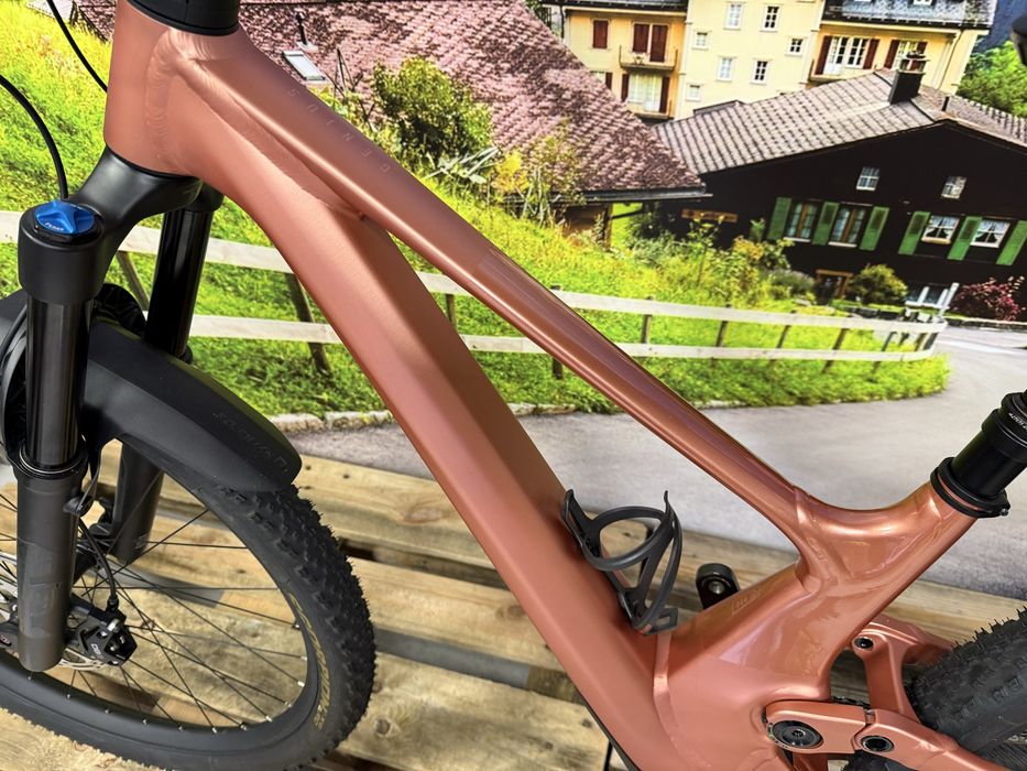 Scott Genius 920 Contessa Roz S