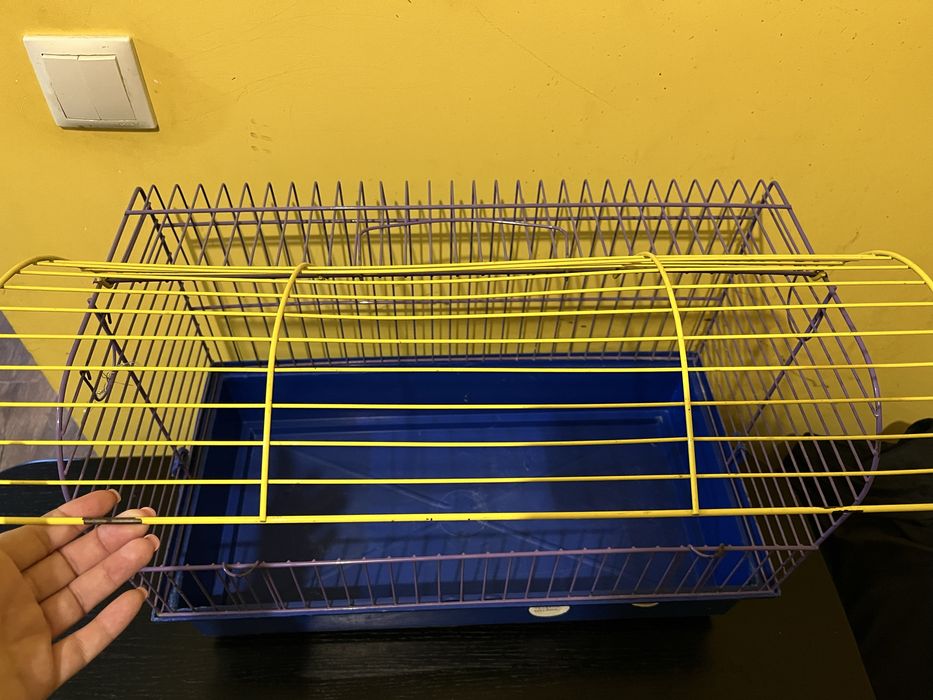 Клітка для гризунів, морська свинка, щур