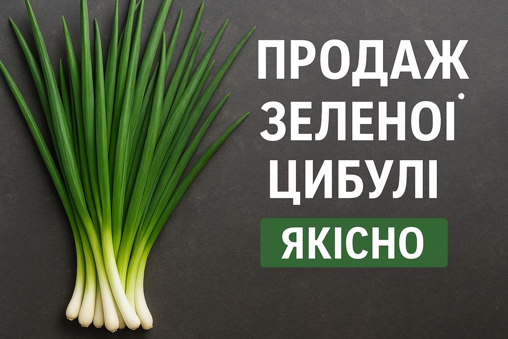 Зелена цибуля. Зелене перо Штутгарт високоякісний. Зелёный лук.