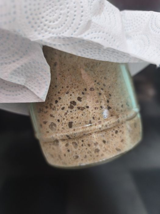 Zakwas żytni chlebowy