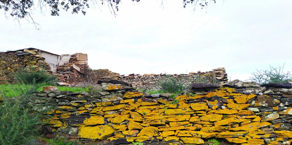 Monsaraz O sítio único e paradisíaco quinta com ruína para reconstruir