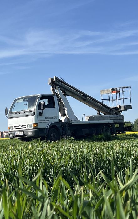 Wycinka drzew z podnośnika / przycinka/ rębakowanie / frezowanie .