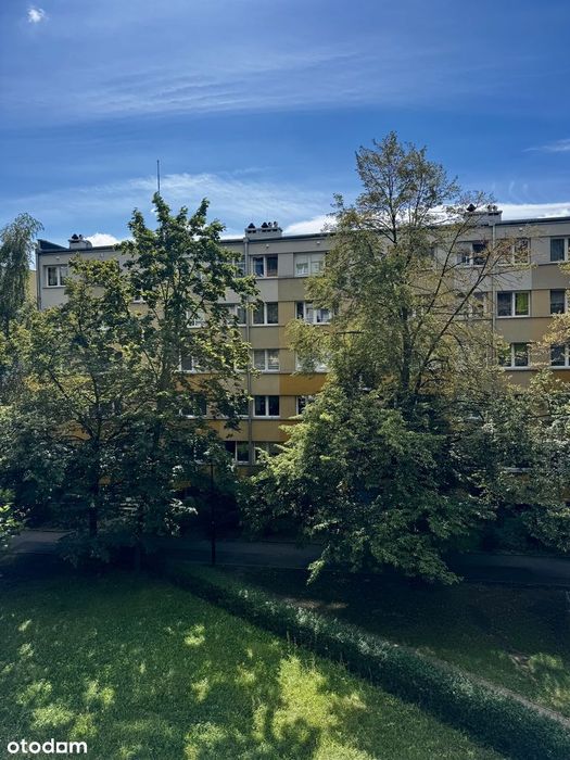 Rezerwacja! Ul. Białowieska- 3 pok. z balkonem, rozkład