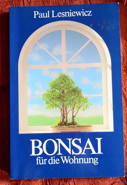 Bonsai für die Wohnung Paul Lesniewicz