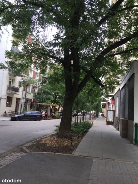 Bez prowizji, 3 pokojowe mieszkanie w Centrum, po generalnym remoncie