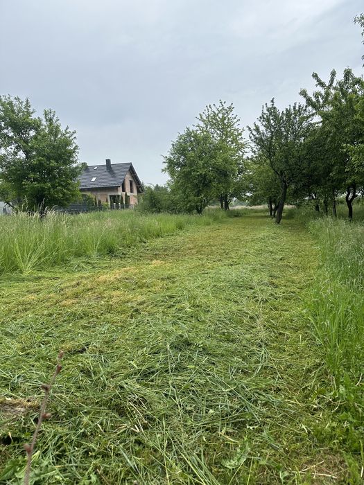 Wycinka drzew, koszenie trawy