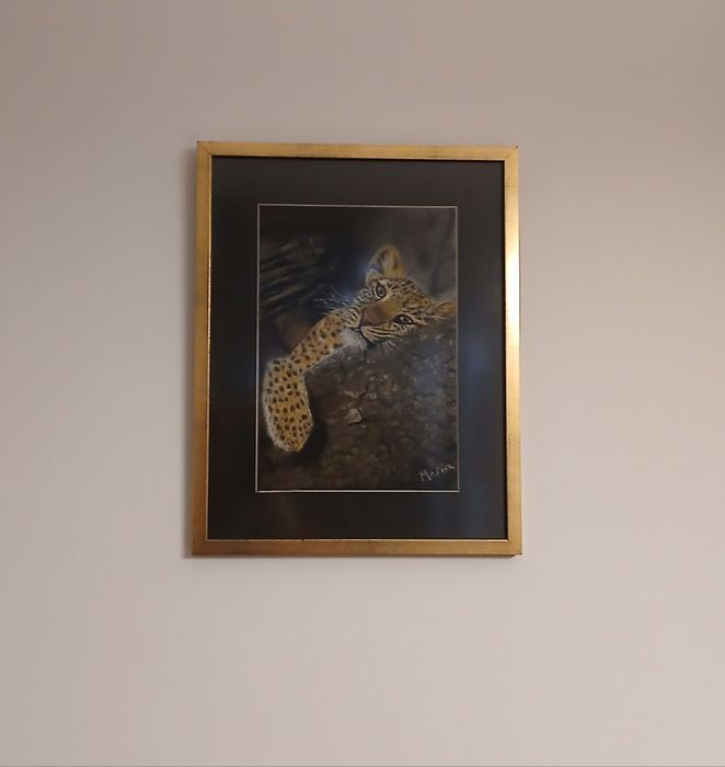 Quadros tema Animais