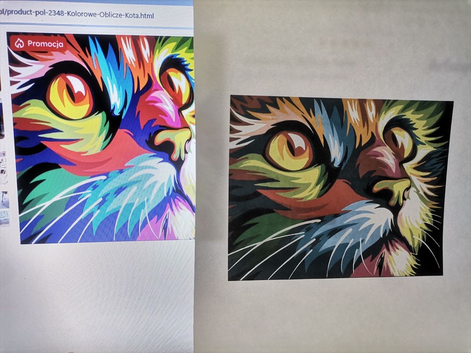 Drukarka Brother J125 sprawna