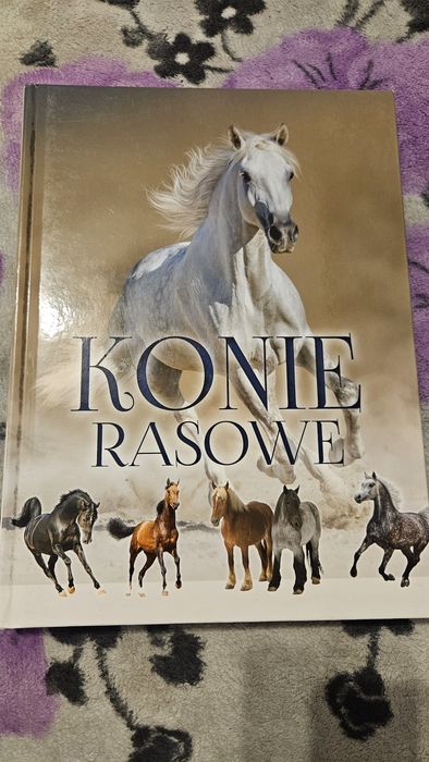 Konie Rasowe Patrycja Zarawska
