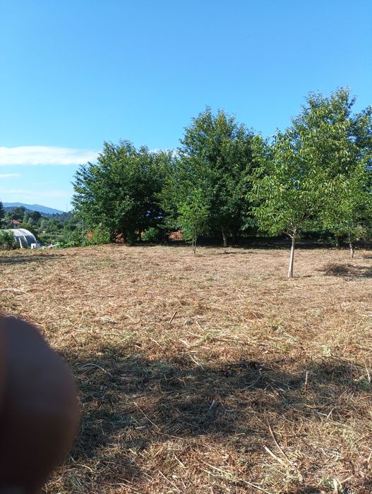 Limpeza dê terrenos e jardim