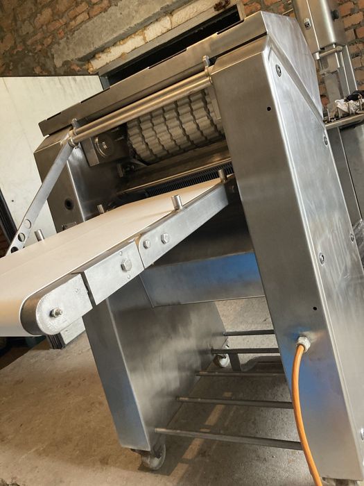 Шкіроз’ємна машина Maja ESB 4434/1. Лізовочна машина