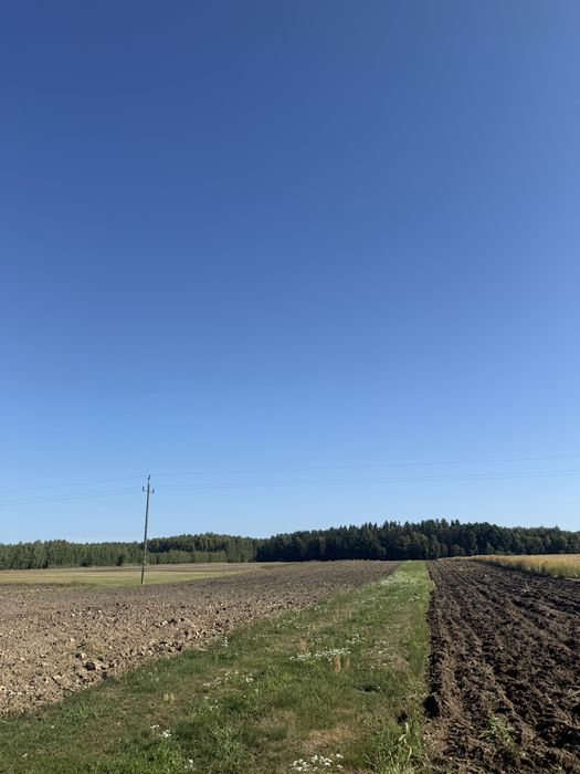 Sprzedaż działek budowlanych- Gmina Ścinawa - Widok 5