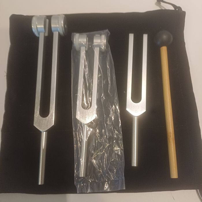 Набір камертонів з молоточком 128/256/512 Гц