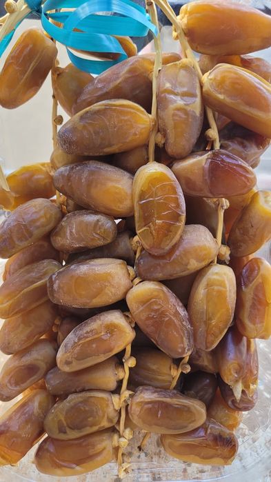 Tâmaras/ dattes/تمر (deglet Nour Algérie)