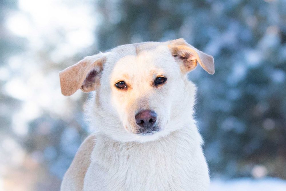 Lumea: młoda, rezolutna i przyjazna