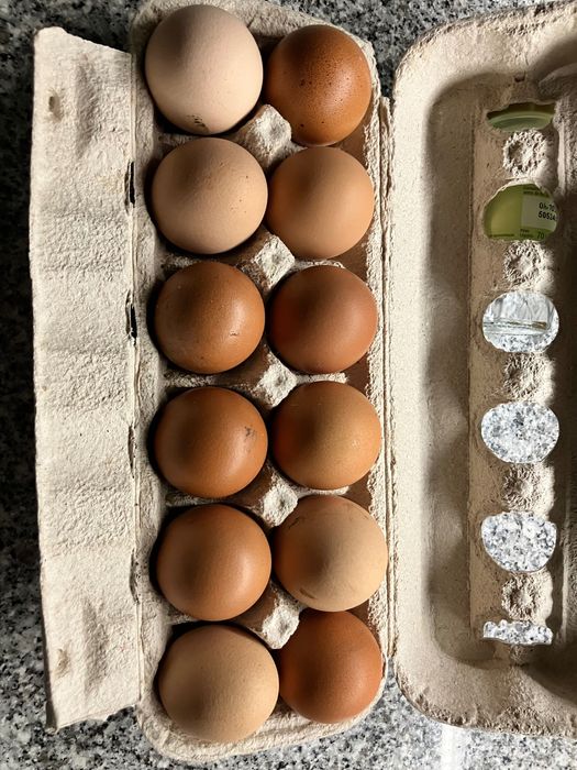 Ovos caseiros de galinha