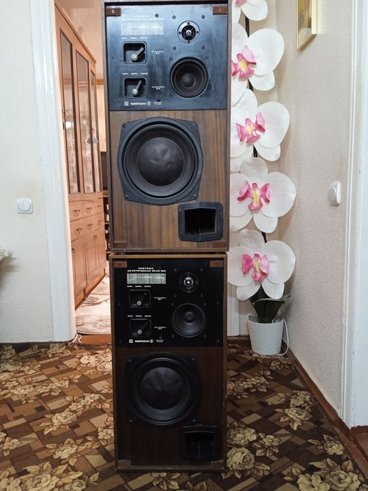 Акустическая система Радиотехника  35 АС - 201  (35АС-1) S90