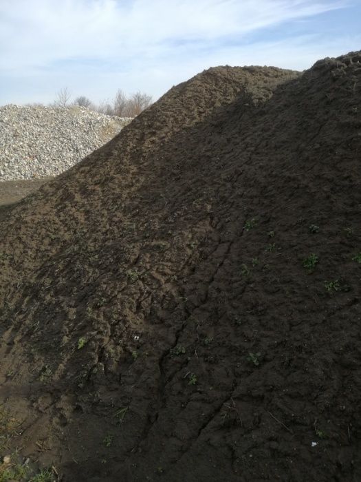 ziemia ogrodowa, humus, czarnoziem