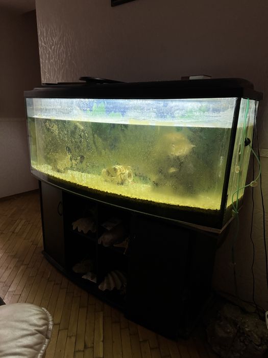 Акваріум доя рибок