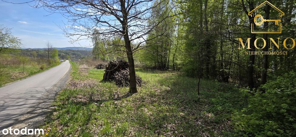 Duża, widokowa działka z lasem na terenie Pogórza Ciężkowickiego - Więcej