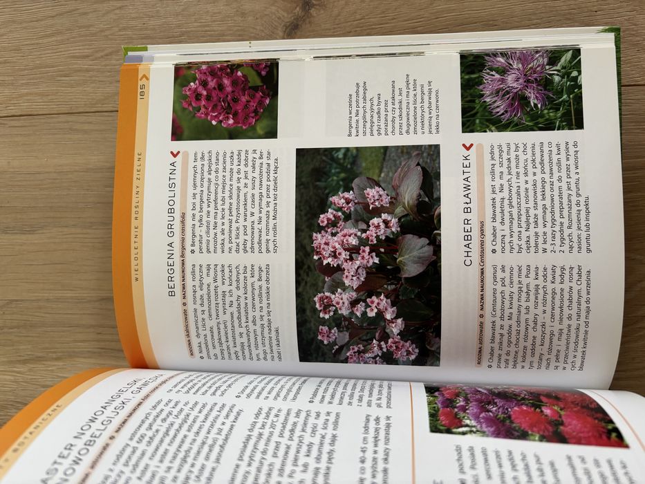 Wielka księga kwiatów - praca zbiorowa