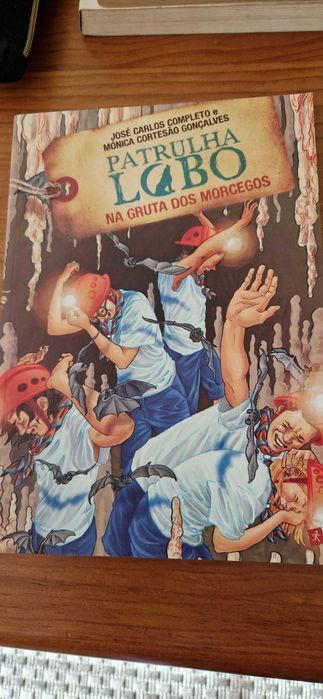 vários  livros para jovens em conjuntos