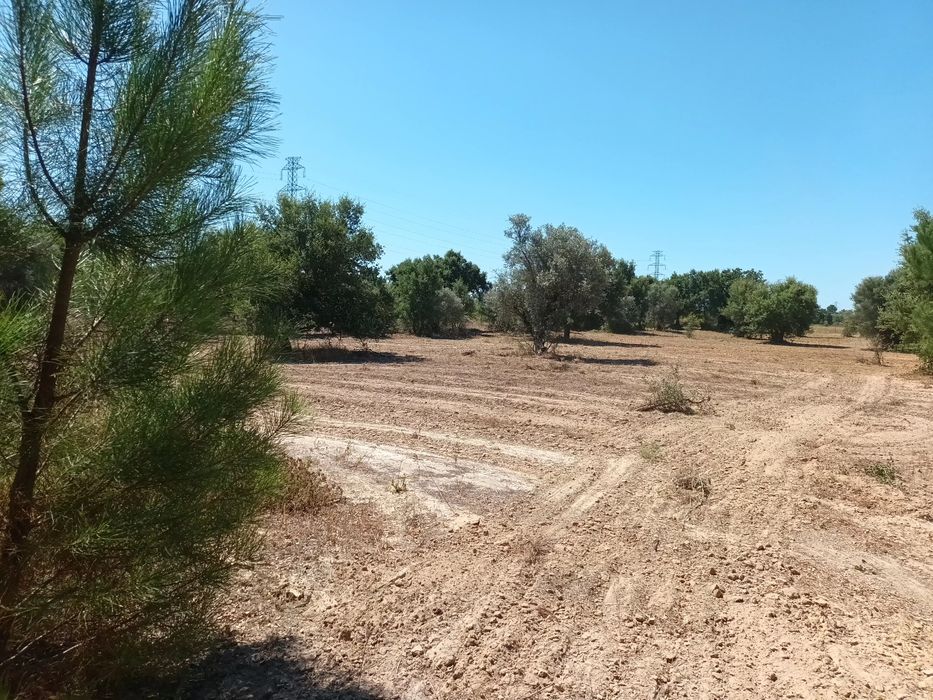 Propriedade-Mini quinta