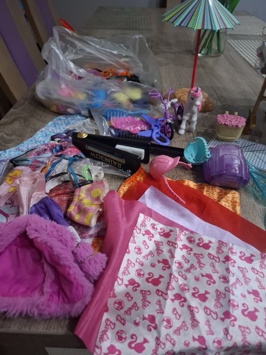 Rainbow High, barbie i wiele dodatków