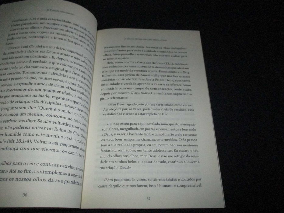 Livro O Tesouro Escondido José Tolentino Mendonça 7ª edição