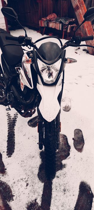 Продам Лонкін прус