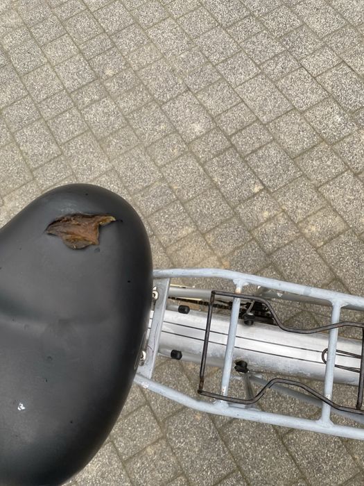 Rower Pegasus 28 cali