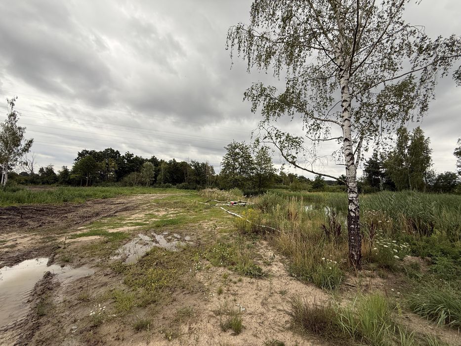 Działka rolna 2,62 ha – Podbrzezie Górne, gm. Kożuchów - Widok 4